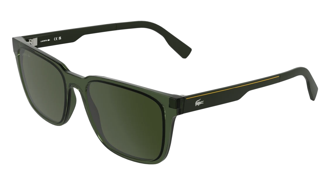 L6077S