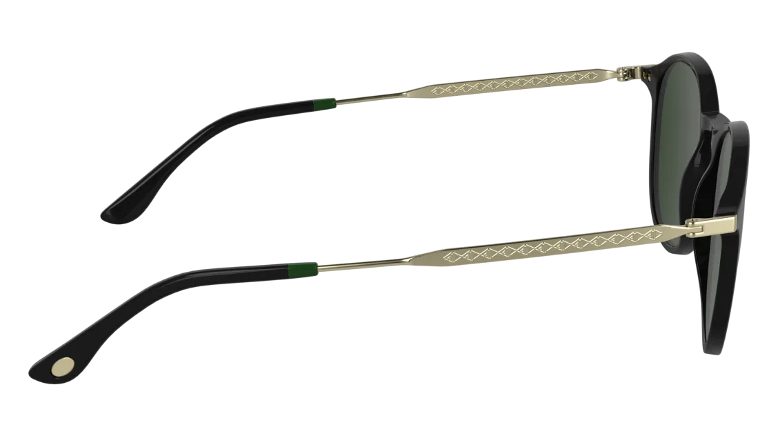 L6061S