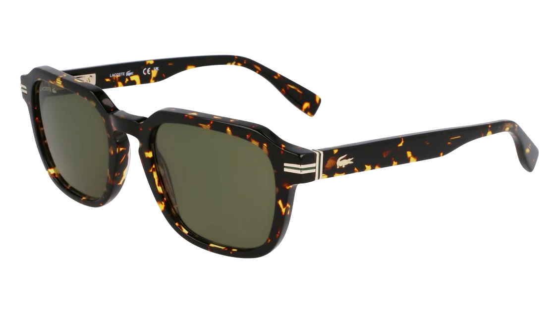 L6046S N