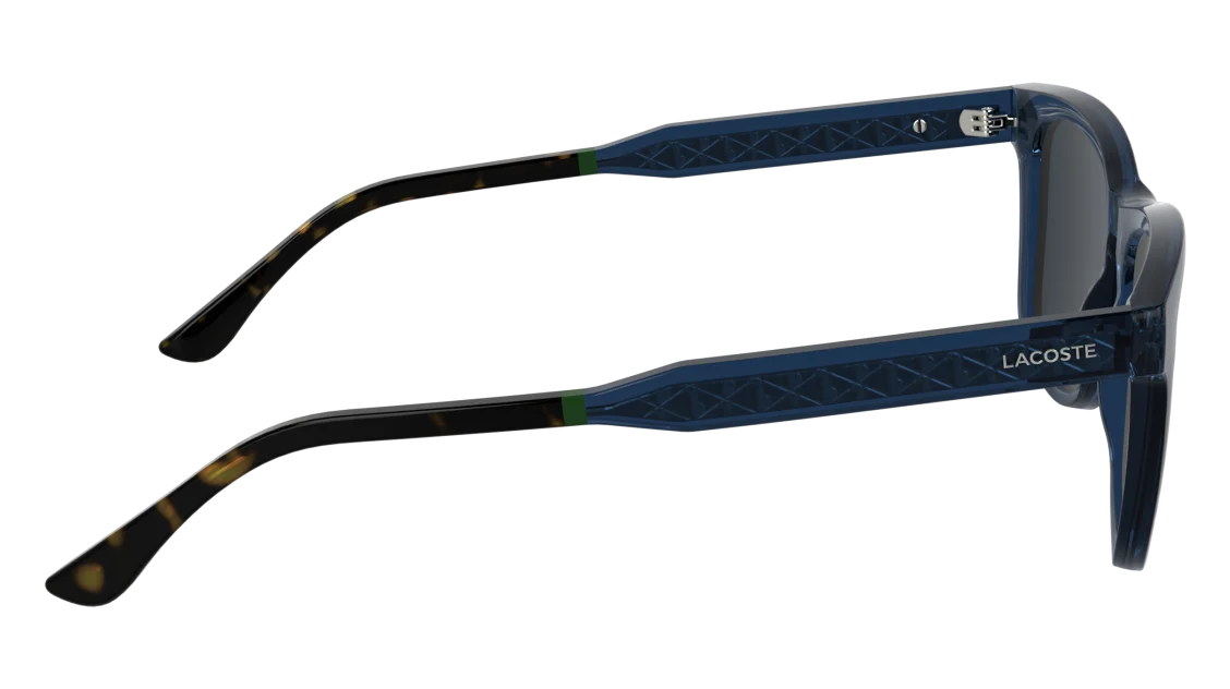 L6060S
