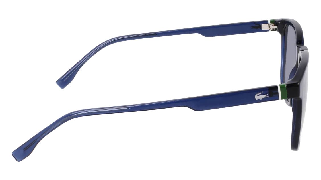 L6029S