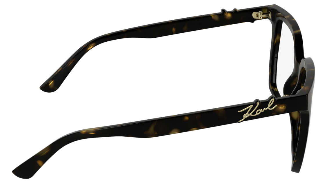 KL6233