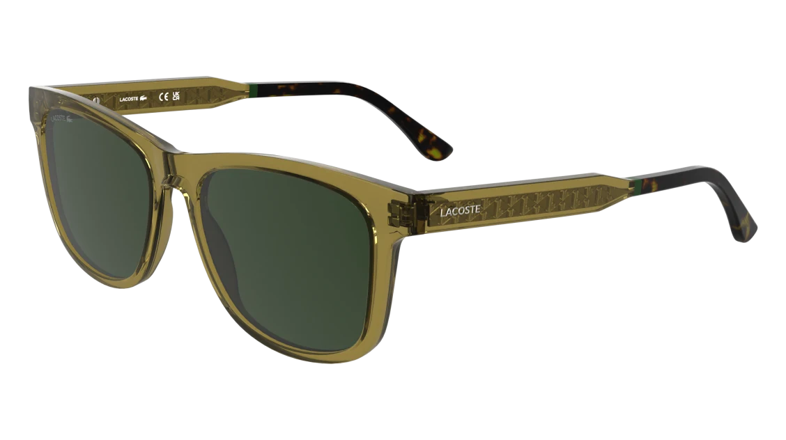 L6060S
