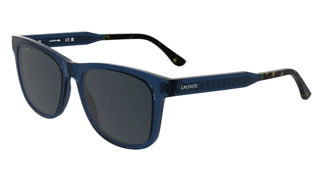 L6060S