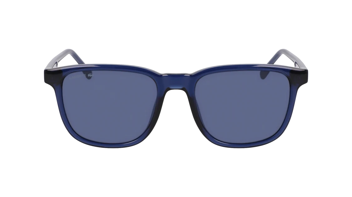 L6029S