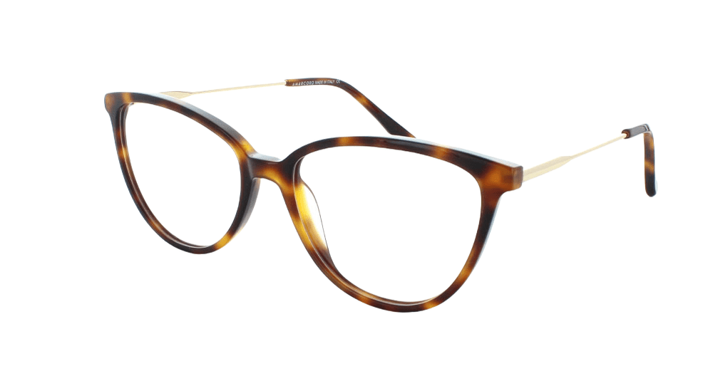 Tribeca Eyewear BROADWAY demi tort/gold Eyewear