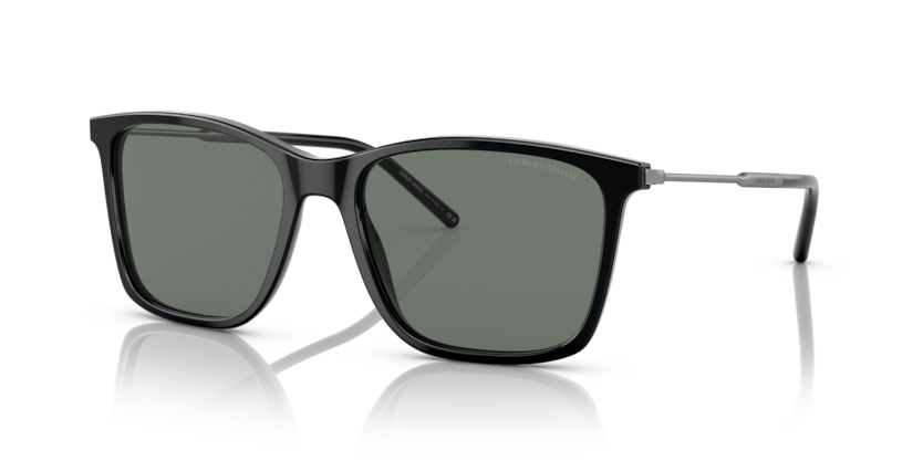 Giorgio Armani AR8176 Sunglasses | Select Eyewear