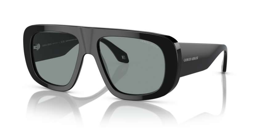 Giorgio Armani AR8183 Sunglasses | Select Eyewear