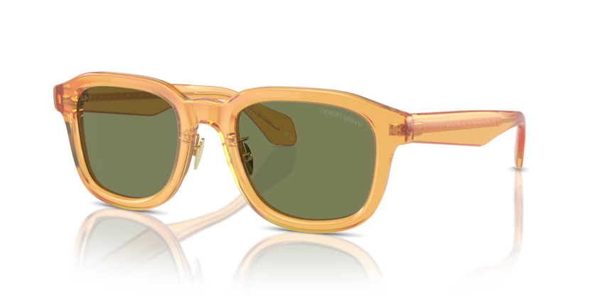 Giorgio Armani AR8206 Sunglasses | Select Eyewear