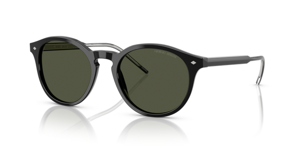 Giorgio Armani AR8211 Sunglasses | Select Eyewear