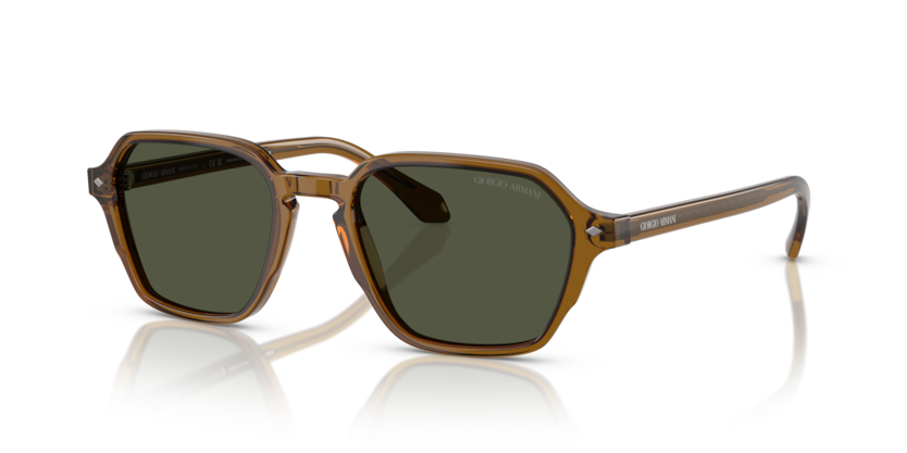 Giorgio Armani AR8220 Sunglasses | Select Eyewear