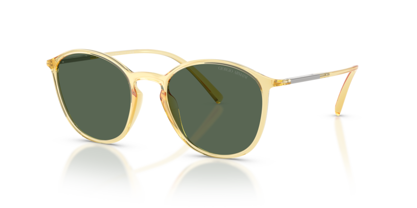 Giorgio Armani AR8233U Sunglasses | Select Eyewear