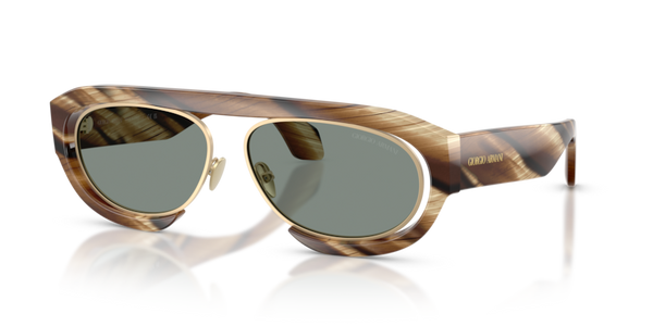 Giorgio Armani AR8239 Sunglasses | Select Eyewear