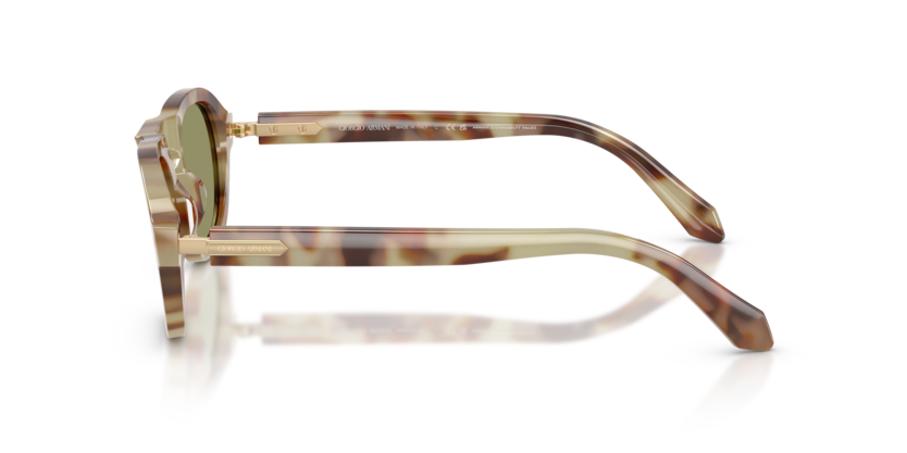 AR8244