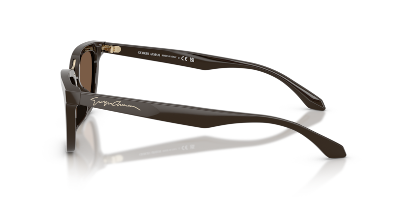 AR8253U