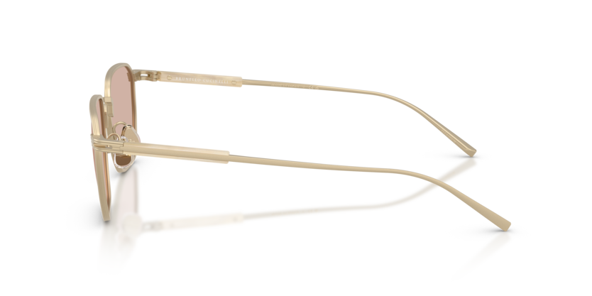 BC1013T