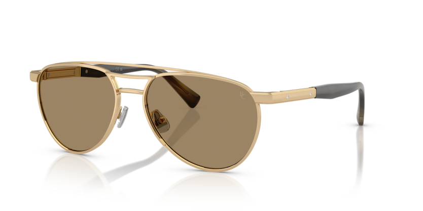 BC2007SM