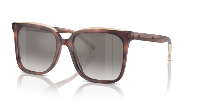 BC4007S