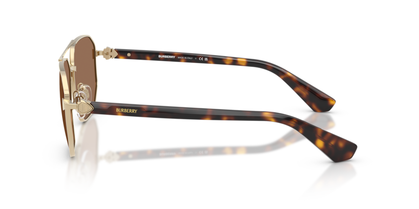 BE3166