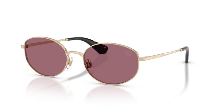 BE3169
