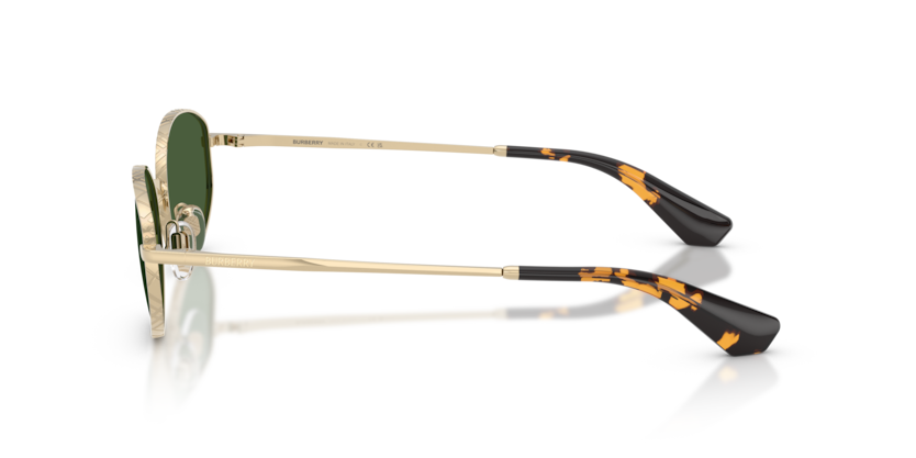 BE3169