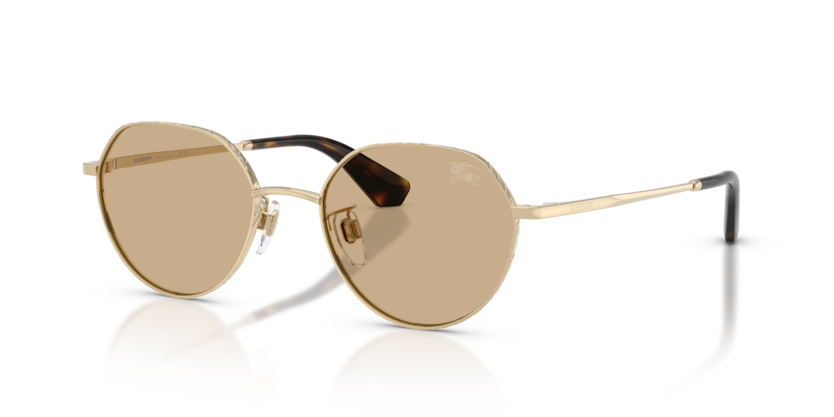 BE3173D