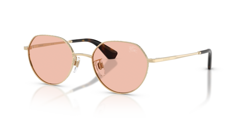BE3173D
