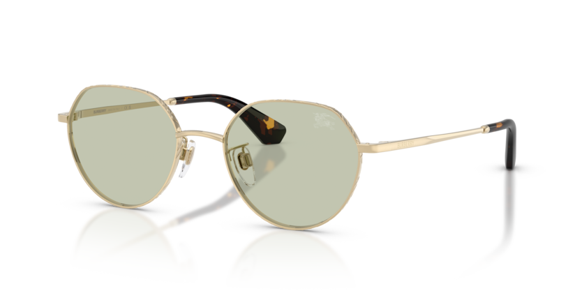 BE3173D