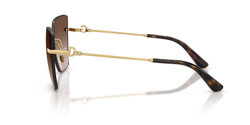 DG2321