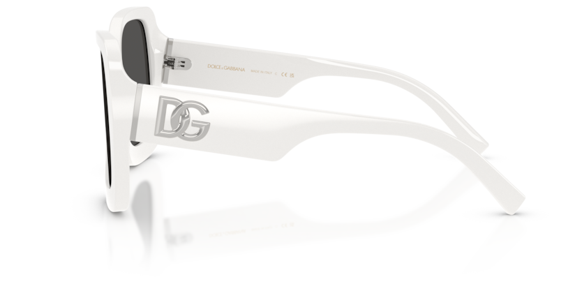DG4513
