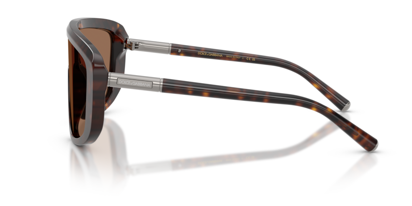 DG4520