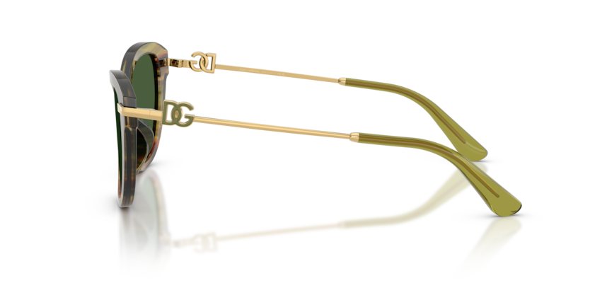 DG4534