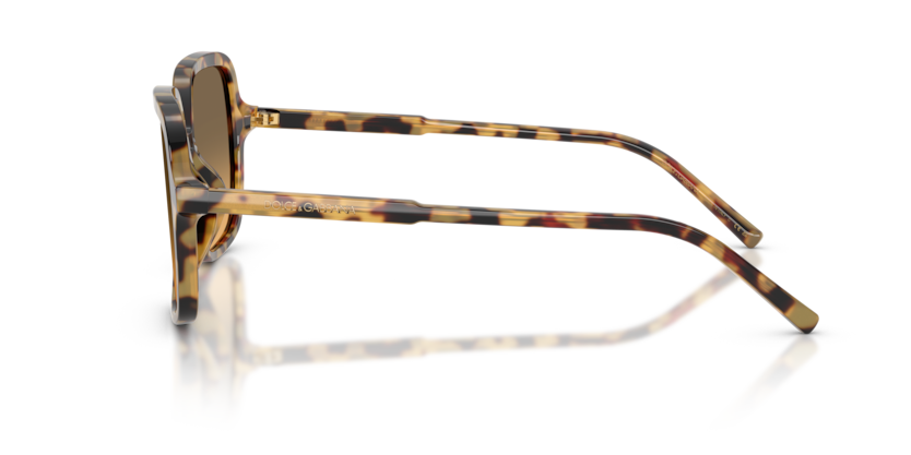 DG4539