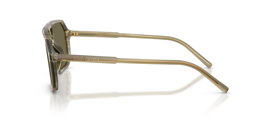 DG4541