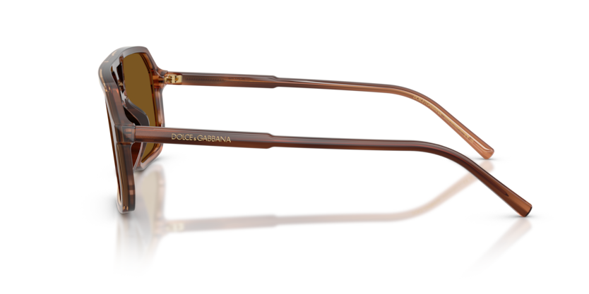 DG4541
