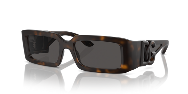 0DG6197__193587__P21__shad__qt