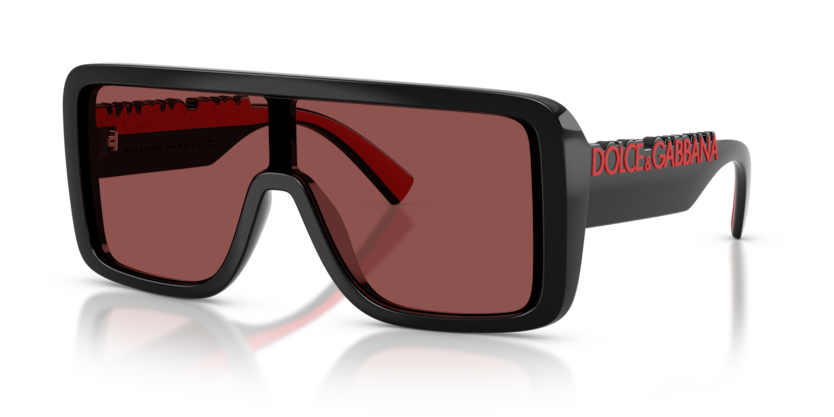 DG6204
