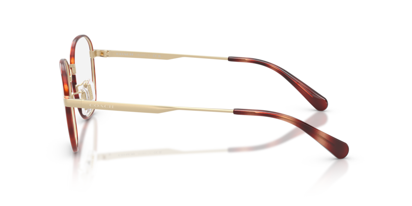 HC5203