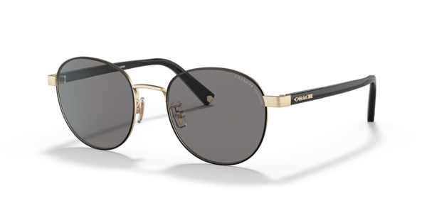 Coach HC7131 - C6195 Sunglasses | Select Eyewear