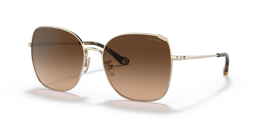 Coach HC7133 - C7997 Sunglasses | Select Eyewear