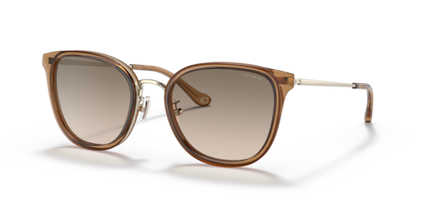 Coach HC7135 - C7999 Sunglasses | Select Eyewear