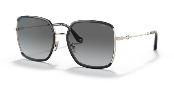 Coach HC7139BD - C8000 Sunglasses | Select Eyewear