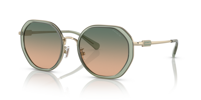 Coach HC7141 - CD477 Sunglasses | Select Eyewear
