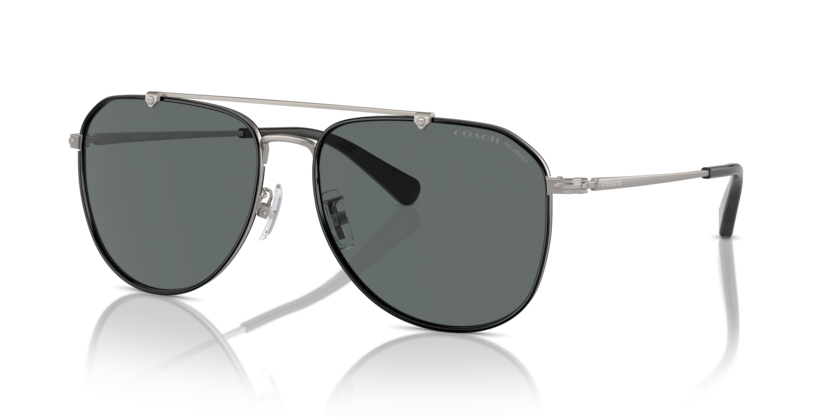 Coach HC7164 - CR626 Sunglasses | Select Eyewear