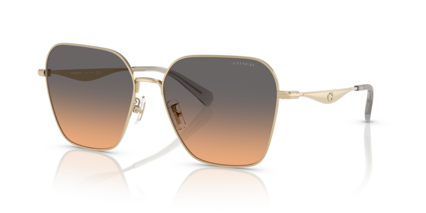 Coach HC7168 - CW189 Sunglasses | Select Eyewear