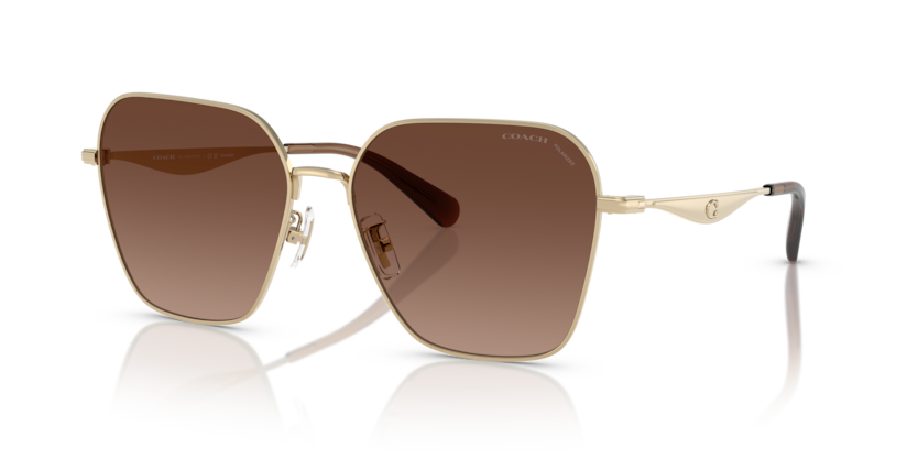Coach HC7168 - CW189 Sunglasses | Select Eyewear