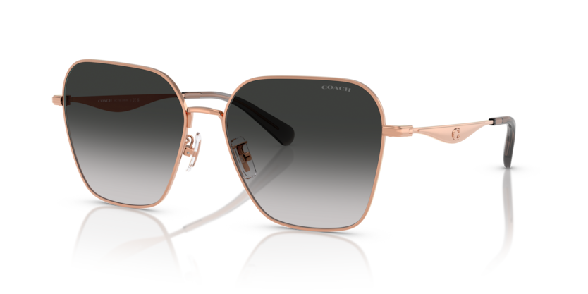 Coach HC7168 - CW189 Sunglasses | Select Eyewear