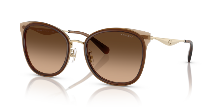 Coach HC7170 - CW185 Sunglasses | Select Eyewear