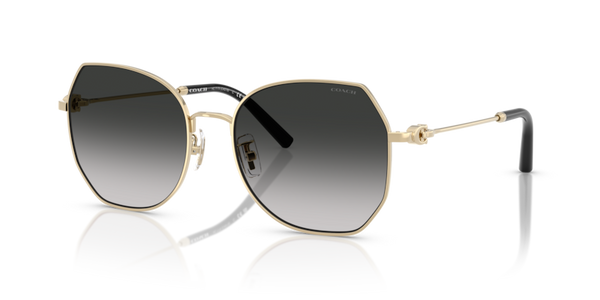 Coach HC7175 - CAD79 Sunglasses | Select Eyewear