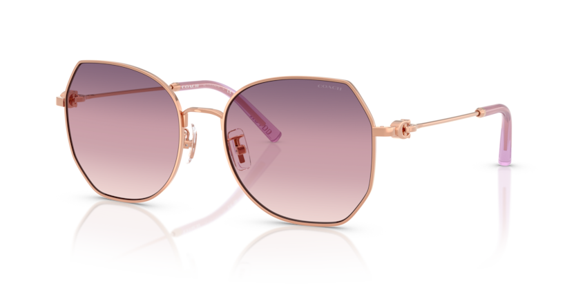 Coach HC7175 - CAD79 Sunglasses | Select Eyewear